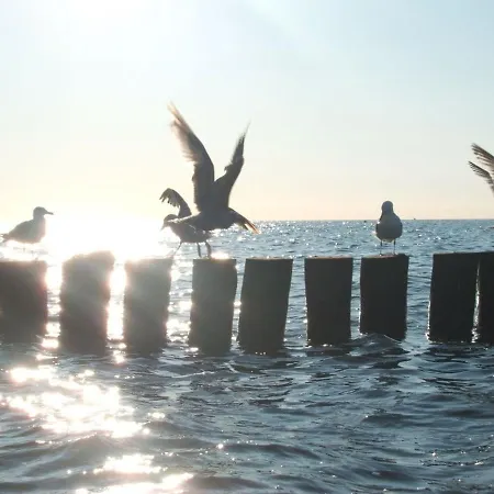 Appartamento Strandnahe Und Geraeumige Mit 3 Schlafzimmern Strandburg Ostseebad Kühlungsborn