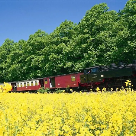 Appartamento Strandnahe Und Geraeumige Mit 3 Schlafzimmern Strandburg Ostseebad Kühlungsborn